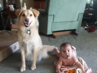 見ているだけで幸せになれる♪ワンコと赤ちゃんの最強コンビ21選(*´ω｀*)