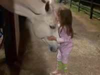 ホース・ウィスパラー（馬にささやく者）。白馬と心を通じ合わせることができる5歳の少女（アメリカ）