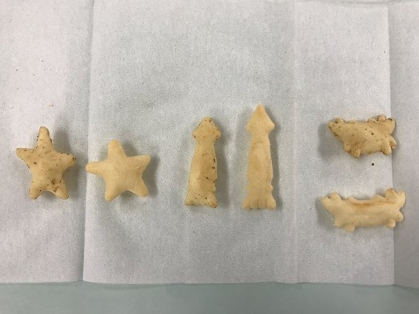 ヒトデ、イカ、カニの3種類を並べた