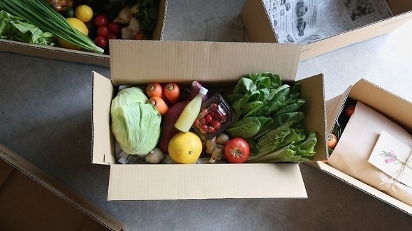 まるで「土佐の婆ちゃんからの野菜の仕送り」みたい
