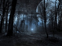 南アフリカで報告された未知との遭遇。UFO遭遇11の事例