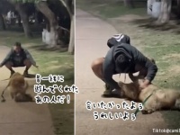 愛犬が全力で向かっていった先には1年半前に別れた元カレ。犬は男性のことを忘れていなかった