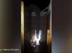 夜中トイレに行ったら…ゾウが水を飲んでいた！？