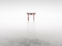滋賀県高島市にある白鬚神社の湖中大鳥居　saizou（＠saizou4） さんのツイートより