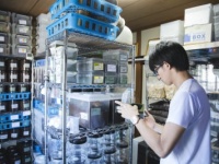 若手芸人が600匹のクワガタと暮らす「ある理由」