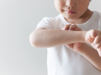 蚊の季節がやってくる...！