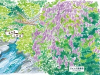 エスビージャパン株式会社のプレスリリース画像