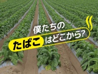 「なんで 『たばこ』は悪いのに 、パパは作ってるの？」　禁煙の時代を生きる「葉タバコ農家」の現実と情熱