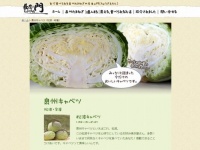 公式サイト