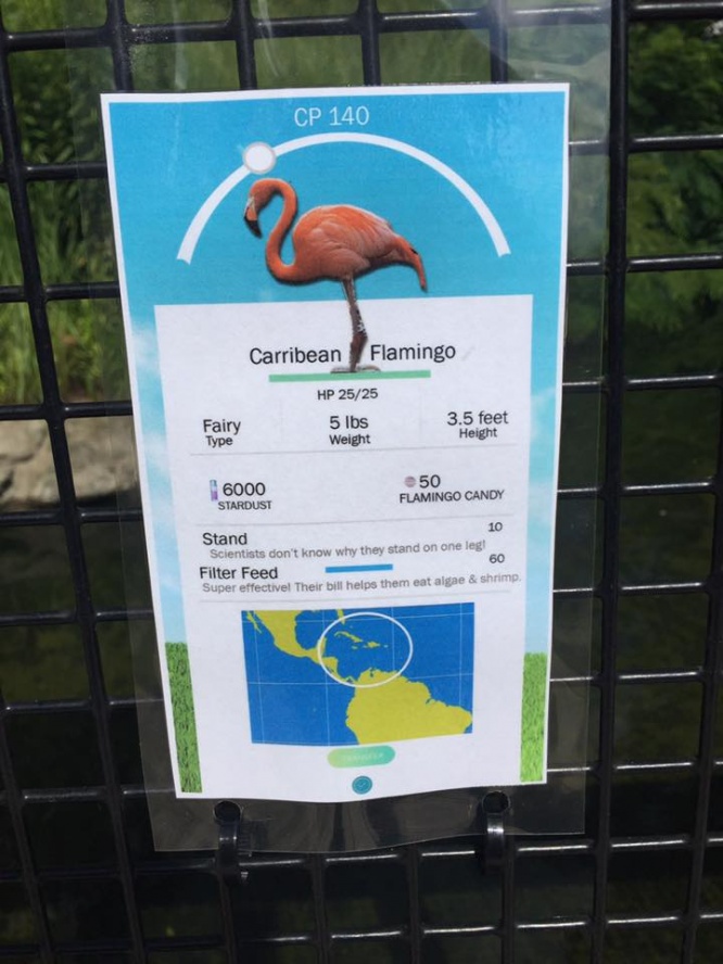 米バーミンガム動物園の動物の紹介