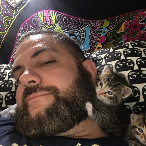 cat-4 [www.imagesplitter.net]