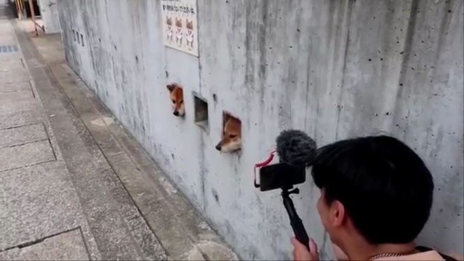 撮影