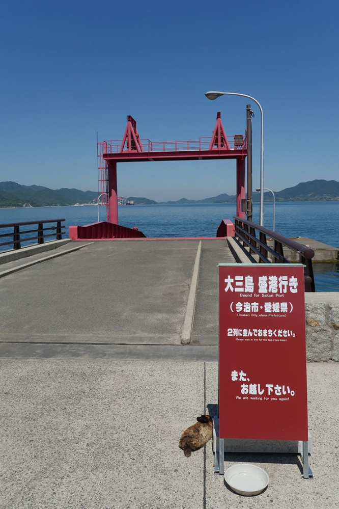 usagi-no-shima21