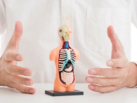 「Doctors Me（ドクターズミー）」コラム画像