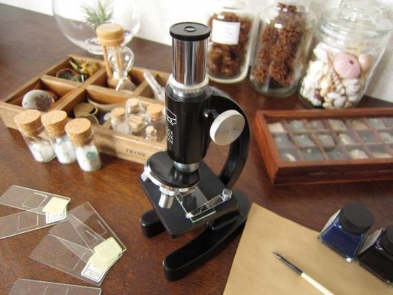 人喰いバクテリアが猛威をふるう!?フロリダで2人が死亡した怖ろしいニュースとは?