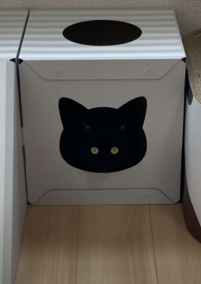 画像は再掲