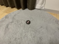 メイクパフ？いいえ、ペットです　リボン付きもふもふの〝正体〟が可愛すぎて...7.4万人もん絶