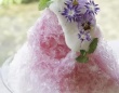 まるでエディブルなお花畑　目でも舌でも楽しめる〝花やか〟かき氷、京都で爆誕