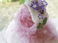 まるでエディブルなお花畑　目でも舌でも楽しめる〝花やか〟かき氷、京都で爆誕