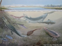 新種の巨大古代魚の化石を発見。人類の遠い祖先を捕食していた可能性