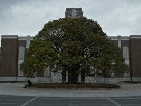 京都大学（Hiroaki Sakumaさん撮影,Flickrより）