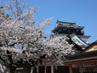 「おかざき」のイントネーションの違い（岡崎城。Baristonさん撮影。wikimedia commons