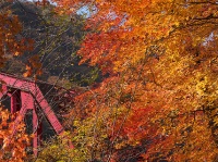 紅葉の季節の帝釈峡（**jpgさん撮影、Flickrより）