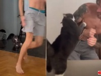 突然追いかけられた愛猫「ちょっと待て、よく考えたらなんでワイが逃げなあかんねん！」と飼い主を全力で追いかけ返す