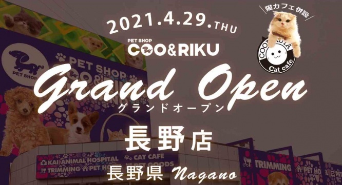 有限会社 Coo&amp;RIKUのプレスリリース画像