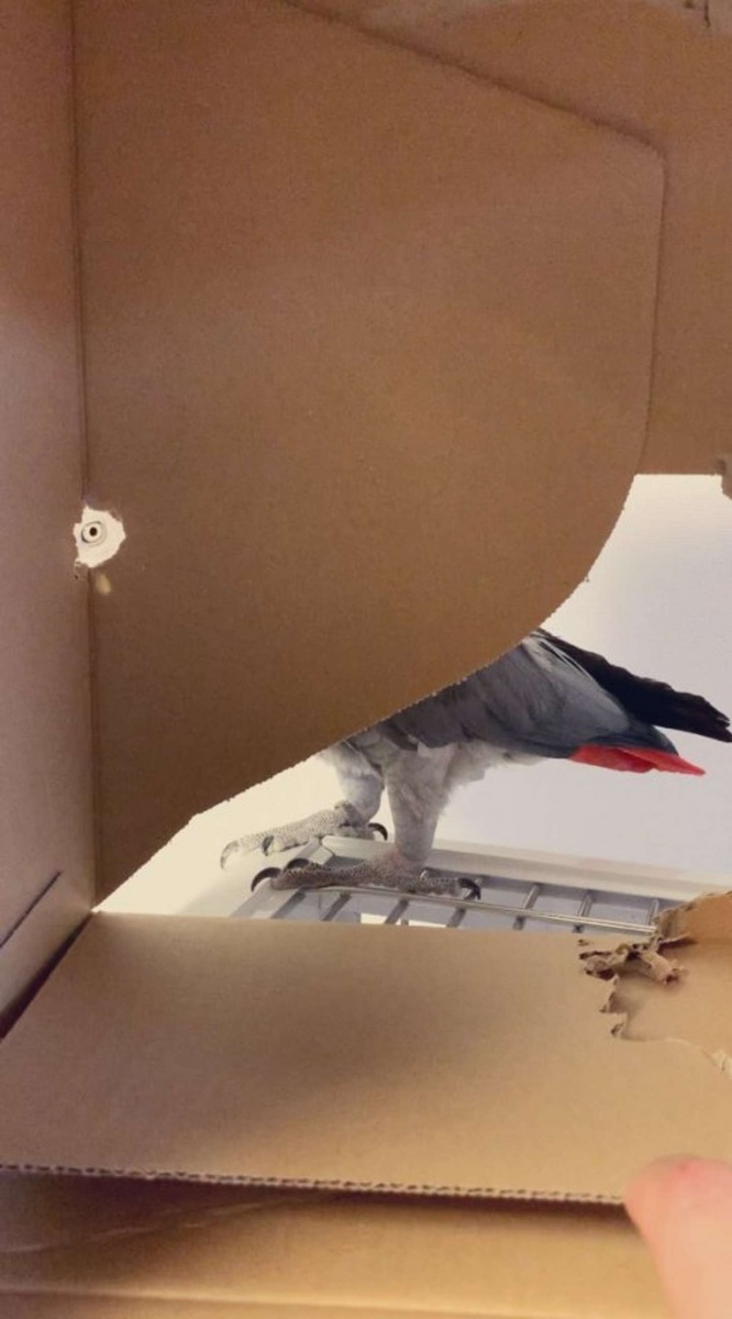 過去にはこんな「覗き」現場も