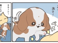 ヤシン（＠Y_ashi_n）さんの作品