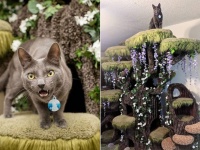 百獣の王気分になれるから～。大自然の息吹を感じさせてくれる超豪華、ファンタジーなキャットタワー