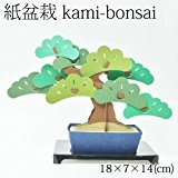紙盆栽 kami-bonsai松 -matsu-道具要らず、紙を組み立てて作る自分だけの盆栽