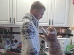 【デレデレ】飼い主の男性を愛しすぎてしまった猫