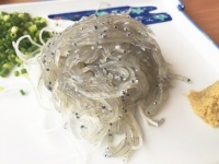 宮城県でも生シラスが楽しめる（画像はイメージ）