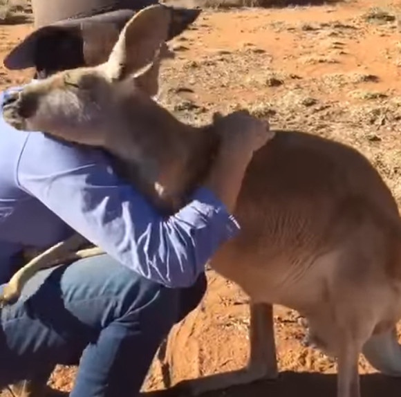 スクリーンショット-(420)