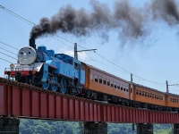 画像はイメージです（Koziro Hasegawaさん撮影、Flickrより）
