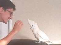 「飼い主が消えた！」と話題のアレ、一番ナイスな反応を見せたのはオウムかもしれない
