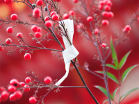 2016年も恋愛がうまくいくために「年内にやっておきたい」4つのこと