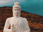 １年かけて２万km以上インドを旅しながら撮影した動画が美しすぎる
