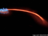 ブラックホールによりスパゲッティ状態となった星の末路が明らかに