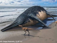 体長25メートル、2億年前を生きた過去最大の魚竜の化石を発見