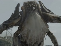 画像は動画のスクリーンショット