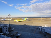 羽田空港（wikimedia commons