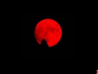 真っ赤に染まる月。ギガ火災が発生中のカリフォルニアの夜空で不気味な満月（アメリカ）