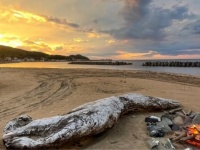 旅館に泊まりつつ、絶景アウトドアも気軽に楽しむ♡　いいトコどりの「リョカピング」がサイコー過ぎる