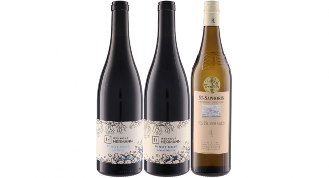 株式会社モトックスのプレスリリース画像