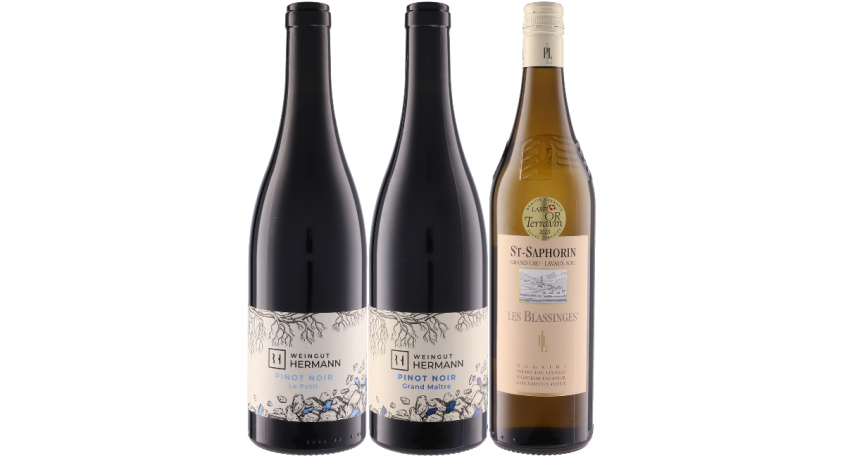 株式会社モトックスのプレスリリース画像