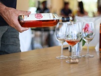 株式会社 Vino Hayashiのプレスリリース画像