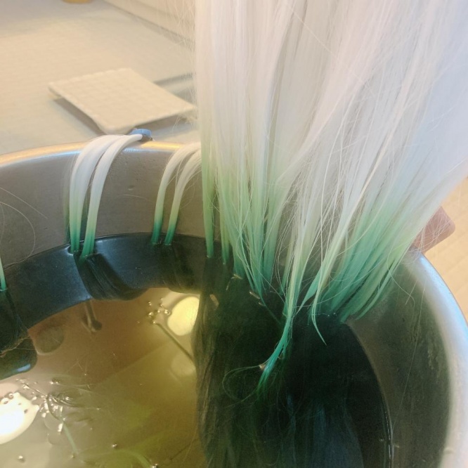 茹でる前のネギ?